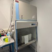 Thermo 1300 Series A2 4' BioSafety Cabinet image 0